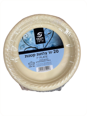 צלחת 7