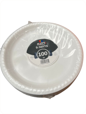 צלחת - 100 יח'